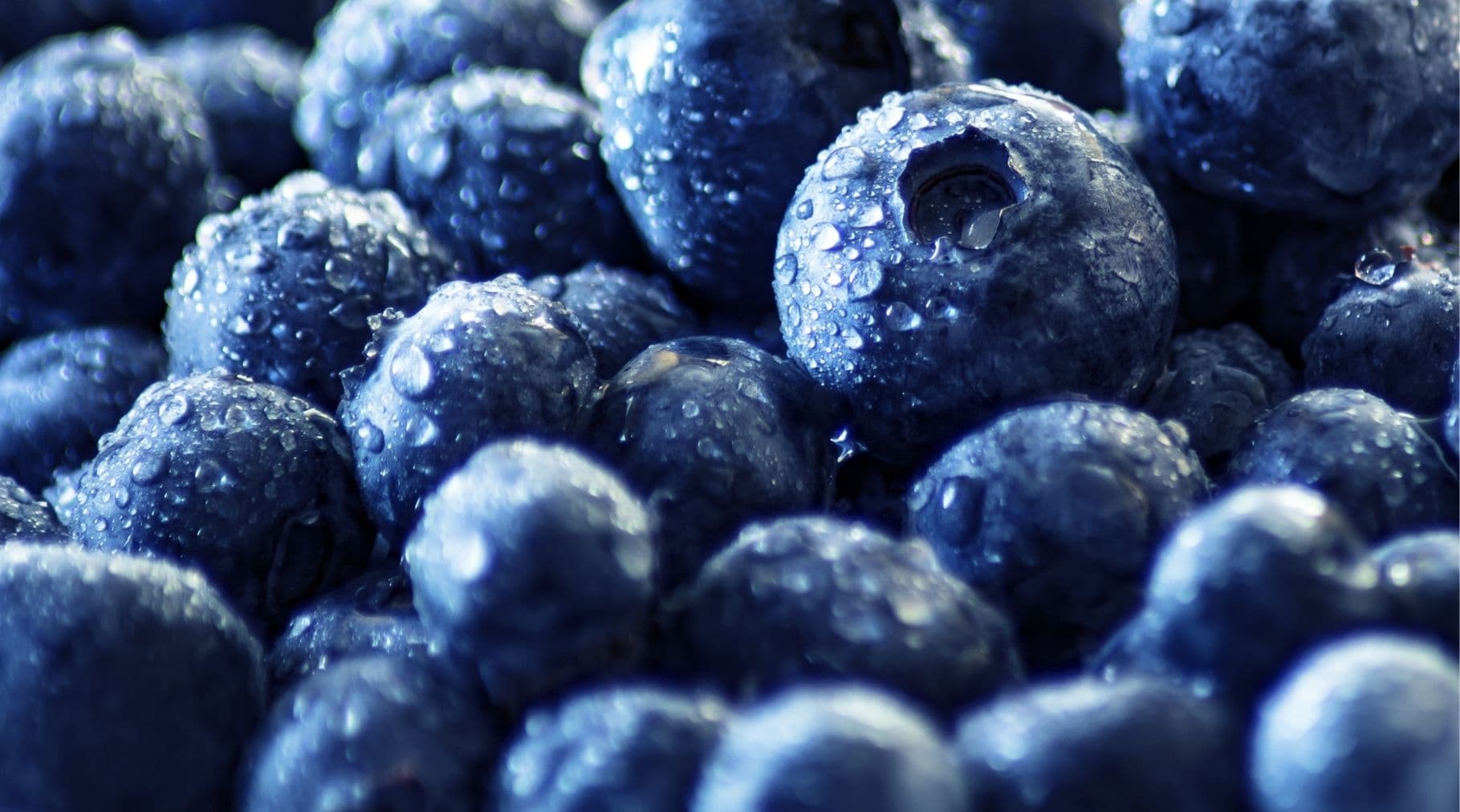 development & production 
of food