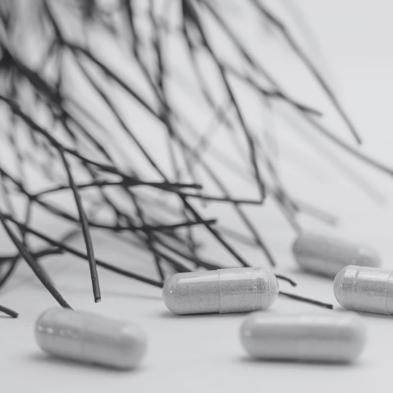 Supplement productie 2