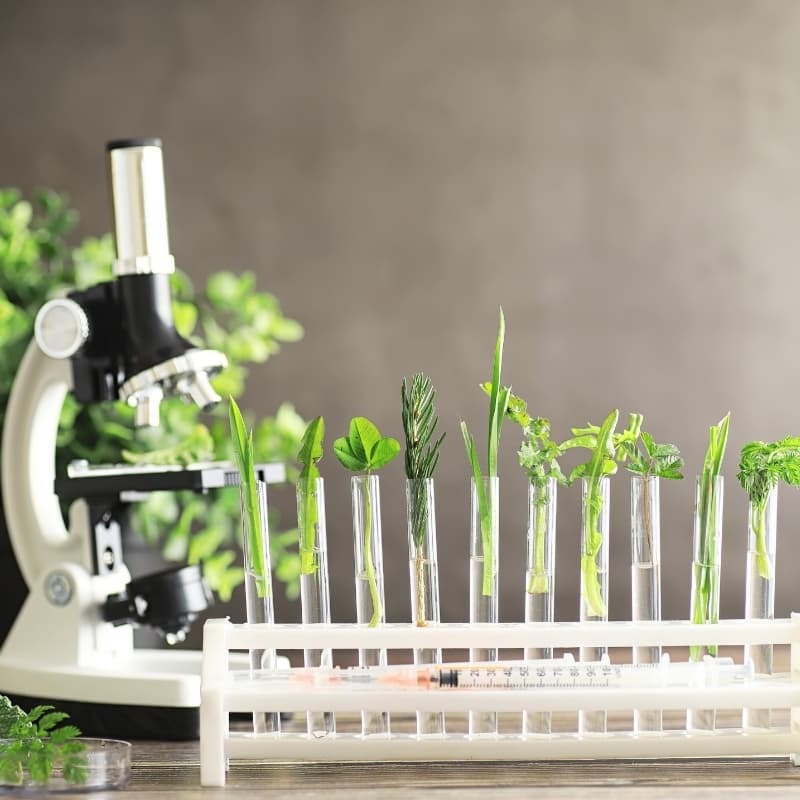 Supplement productie 9